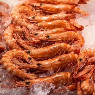 Cooked Tiger Prawn