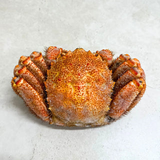 【Pre-order】Hokkaido Hairy Crab (Kegani)