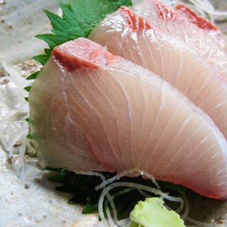 Kingfish (Hiramasa) Sashimi