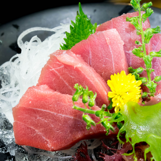Tuna (Maguro) Sashimi