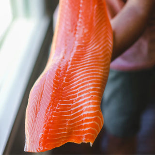 Salmon Fillet