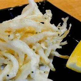 Silverfish (Shirauo)